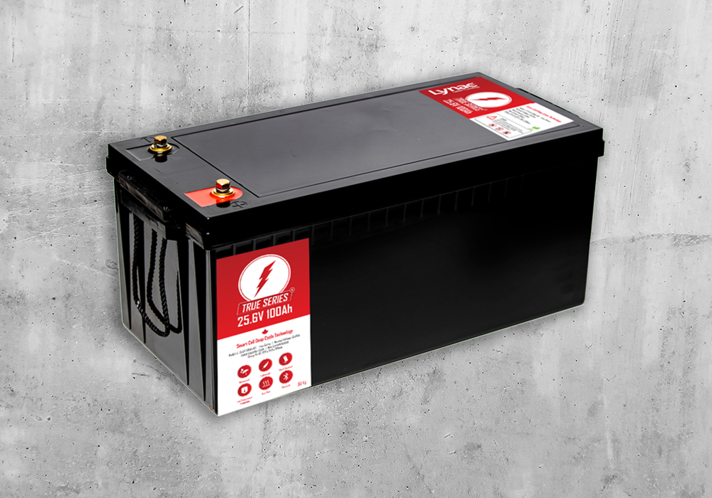 25.6v 100ah battery blog